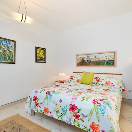 Apartment Adri Cunski